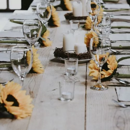 photo-1532431993925-00ed69b363bc